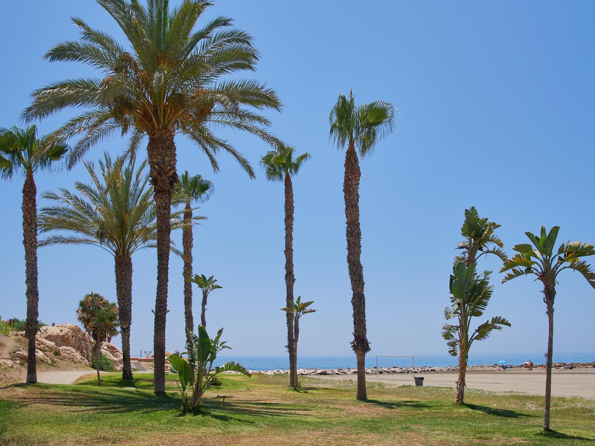 Lovely Studio With Seaview 700M From The Beach La Cala Del Moral Екстер'єр фото